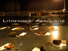 Litófagos: Aerolitos