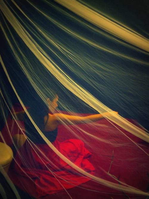 Fotografa - Mahjabeen Bee Zafar